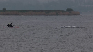 Rettungsaktion: Initiative optimistisch - Wal atmet tiefer