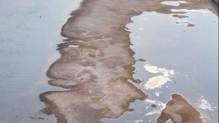 Historisch niedrige Wasserstände am Rhein: Ruf nach Taskforce wird laut