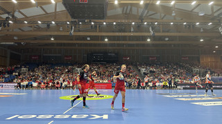 Handball-Bundesliga: MT Melsungen gewinnt 30:29 gegen Hamm