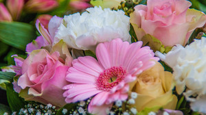 Kreuz & Quer am 11. Mai - Danke, Mama!