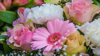 Kreuz & Quer am 11. Mai - Danke, Mama!