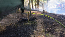 Technischer Defekt löst Flächenbrand aus.
