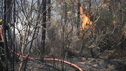 Flammenhölle in Spanien und Frankreich