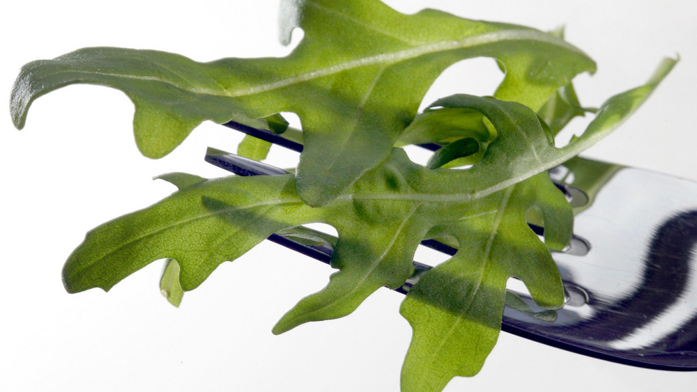 Salmonellen können heftigen Durchfall und Bauchkrämpfe verursachen. Aktuell gibt es einen Ausbruch einer besonderen Form. Vermutet wird Rucola als Quelle (Symbolbild).