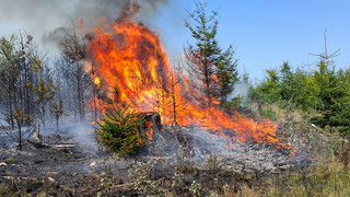 Waldbrand am Glaskopf bei Glashütten