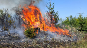 Waldbrand am Glaskopf bei Glashütten