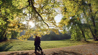 Sommerabschied: Was machst du noch?