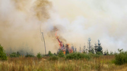 Waldbrand-Qualm aus Belgien sorgt für Notrufe in Hessen
