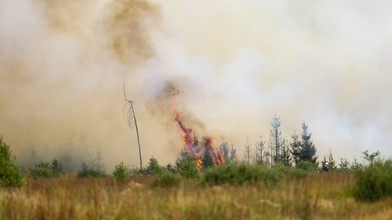 Waldbrand-Qualm aus Belgien sorgt für Notrufe in Hessen