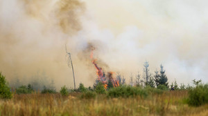 Waldbrand-Qualm aus Belgien sorgt für Notrufe in Hessen