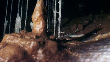 Solms: Grubentour
