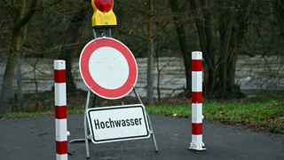 Hochwasser bringt Stechmückenplage am Oberrhein zurück