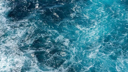 Jetzt fürchten sogar Geheimdienste den Amoc-Kipppunkt für Europa