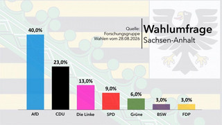 Umfrage: AfD in Sachsen-Anhalt bei 40 Prozent