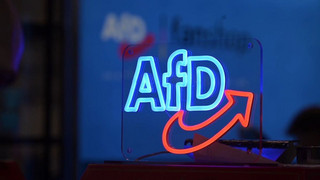 Einstufung als rechtsextrem? AfD gewinnt in Eilverfahren