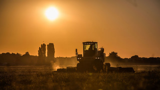 Hessen bietet finanzielle Hilfe für Landwirte nach Ernteausfällen