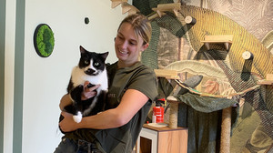Katzen kraulen und vegan Essen: Katzenrestaurant in Heidelberg