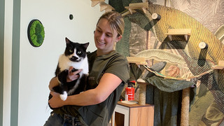 Katzen kraulen und vegan Essen: Katzenrestaurant in Heidelberg