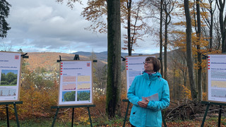 Waldzustandbericht: Rekordschäden in Hessens Wäldern