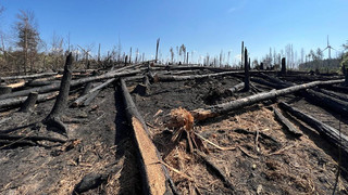 Lage nach Waldbränden im Lahn-Dill-Kreis ruhig und stabil