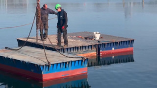 Vorbereitungen laufen auf Hochtouren: Rettungsversuch von Buckelwal am Samstag
