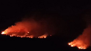 Waldbrand nahe Wohngebiet: Evakuierung in der Eifel