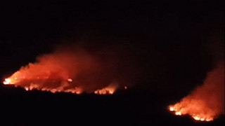 Waldbrand nahe Wohngebiet: Evakuierung in der Eifel