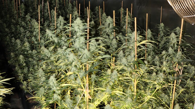 Razzia in Laubach: Polizei macht Millionen-Fund in Halle