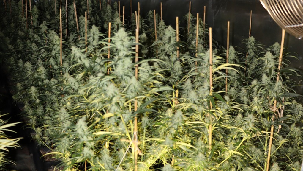 Razzia in Laubach: Polizei macht Millionen-Fund in Halle