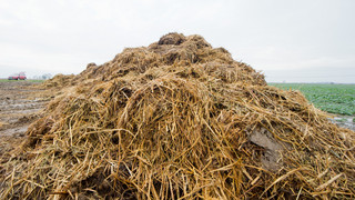 Von Polizei ertappt: Landwirt kippt bei Fernwald Mist auf Fahrbahn