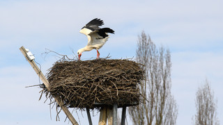 Jetzt abstimmen: Worauf freut ihr euch im Frühling am meisten?