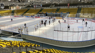 Löwen-Boss Krämer: "Es hat mit Heinrizi nicht gepasst"