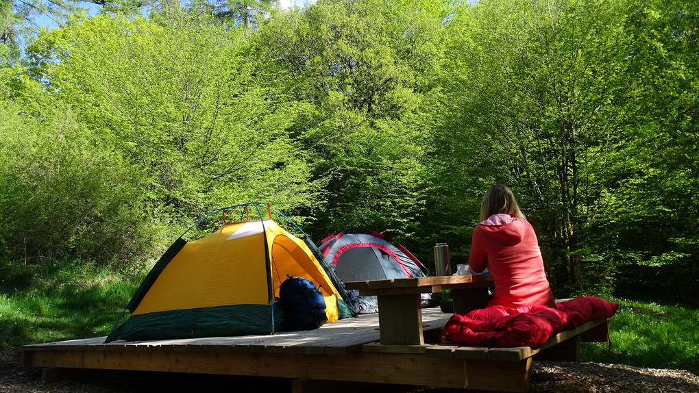 Die schönsten Campingplätze in Hessen 2026