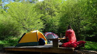 Die schönsten Campingplätze in Hessen 2026