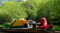 Die schönsten Campingplätze in Hessen 2026