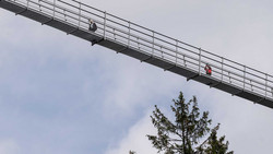 Der Skywalk Willingen - Baumwipfelpfad mit Blick in den Abgrund