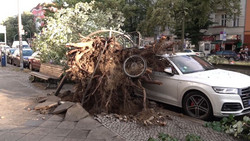 Autofahrer atmen auf: Schäden sinken deutlich