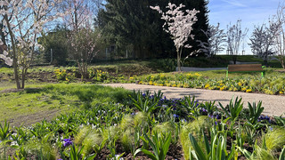 Die Landesgartenschau in Fulda beginnt, 600.000 Besucher erwartet