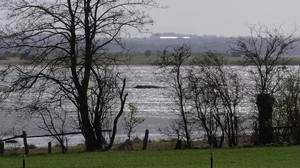 Gutachten zu verletztem Buckelwal: «Finale Entscheidung» erwartet