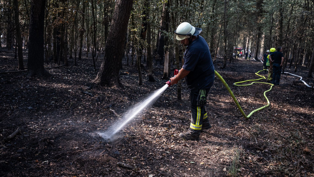 Waldbrand im Hürtgenwald
