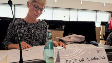 Einreiseverbote von wem? Corona-Ausschuss befragt Experten