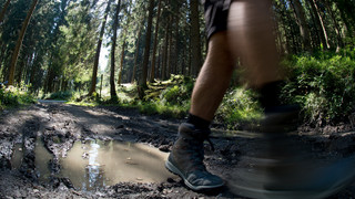 Spendenlauf "Baumtour" Schüler sammeln Spenden