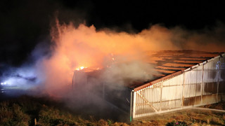 Modautal-Lützelbach: Millionenschaden bei Lagerhallenbrand