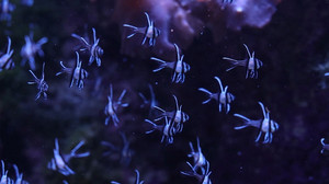 Wiegen, Messen und Zählen für den Artenschutz: Inventur im Tierpark Hagenbeck