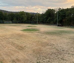 Waldems: Hitze hat Fußballrasen zerstört - wie es weitergeht