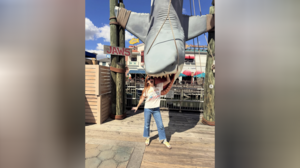 Das posten die Stars bei Instagram & Co