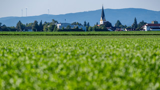 Straßkirchen in Niederbayern: Klares Ja für BMW-Batteriewerk