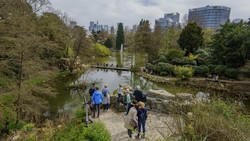Palmengarten FFM
