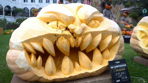 Kürbiskunst mit Kettensäge