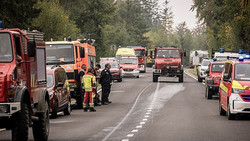 Europa kämpft gegen Waldbrände: Belgien erlebt größten Brand seiner Geschichte